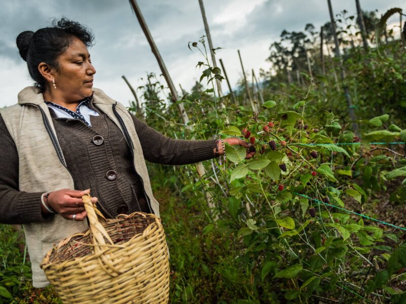 Dificil-situacion-de-agricultores-colombianos-debido-a-la-pandemia-y-al-paro-nacional